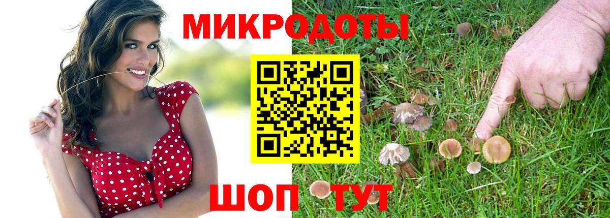 Галлюциногенные грибы MAGIC MUSHROOMS Оренбург
